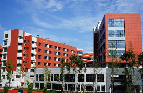 水泥纖維板氟碳漆保溫一體板 技術(shù)開(kāi)發(fā)與四川生產(chǎn)廠家的行業(yè)領(lǐng)先實(shí)踐